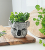 Ceramic Animal Planter Heads.