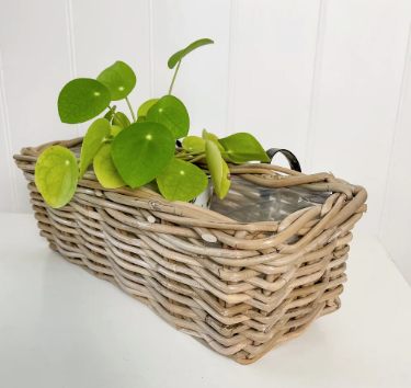 Rattan Balcony Planter.
