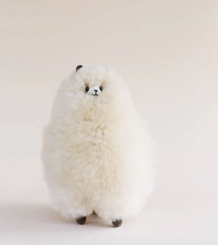 La Sierra Huacaya Alpaca