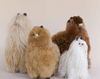 La Sierra Huacaya Alpaca