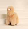 La Sierra Huacaya Alpaca