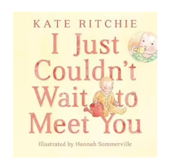 Books -I Just Couldn't Wait to Meet You.