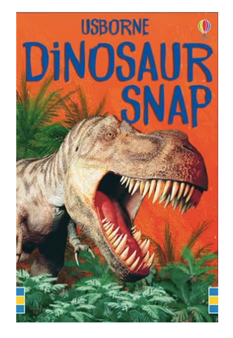Dinosaur Snap Cards.