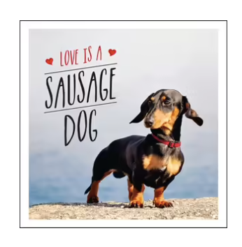 Book - Love is a Sausage Dog