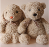 Little Friends Teddy Bear