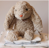 Little Friends Bunny