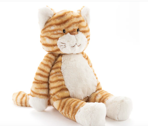 Ginger the Cat