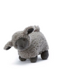 Lucy Lamb