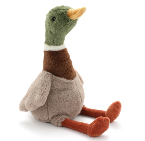 Hugo the Mallard Duck