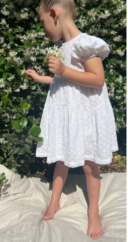 Rai & Co Eliza Embroidered Lace Dress.