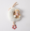 Musical Teddy on Moon