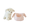 Alimrose Puppy & Carrier