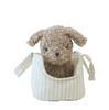 Alimrose Puppy & Carrier