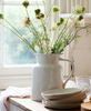 Franco Rustic White Pitcher