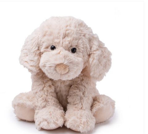 Monty the Labradoodle