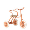 Abri à Tricycle for Mouse
