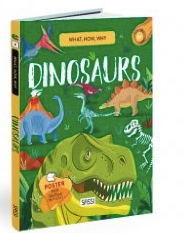 Book - Dinosaurs - What, How, Why.