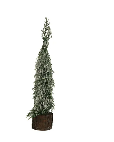 Wood Base Cyprus Tree - Christmas Decoration.