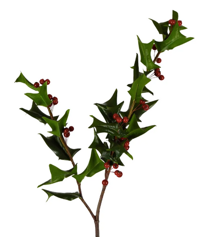 Holly Stem with Berries