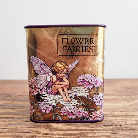 Tinco - Flower Fairy Money Box