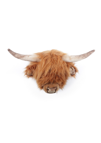 Wild and Soft - Highland Cow Head