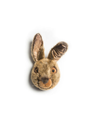 Wild and Soft - Hare Head
